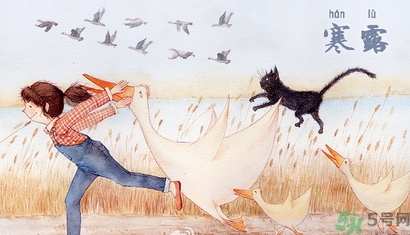 寒露吃什么好？寒露食療