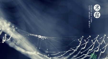 寒露吃什么好？寒露食療