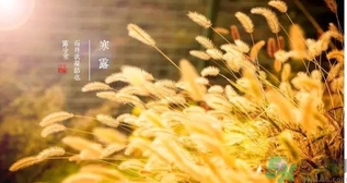 寒露吃什么好？寒露食療