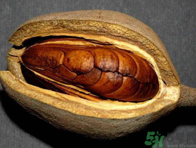 向天果多少錢一斤？向天果價格