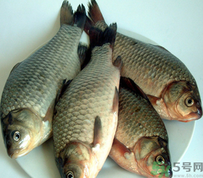 秋天釣鯽魚用什么餌料？秋天釣鯽魚用什么味餌？