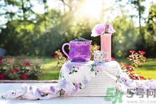 2017年春節(jié)結婚好嗎?2017年春節(jié)結婚黃道吉日