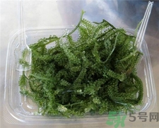 海葡萄是什么?海葡萄的功效 海葡萄是什么?海葡萄的功效