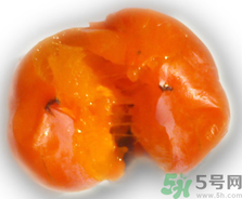 新鮮柿子皮可以吃嗎？吃了柿子皮怎么辦？