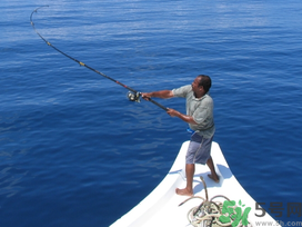 秋天釣鯉魚用什么味型？秋季釣鯉魚餌料味型