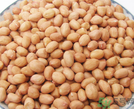 花生米可以放冰箱嗎？花生米可以放冷凍嗎？