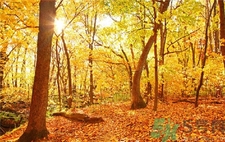 秋季幼兒如何預(yù)防感冒？秋季幼兒感冒怎么辦？