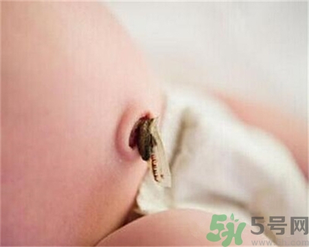 新生兒肚臍怎么護(hù)理？新生兒肚臍什么時候掉？