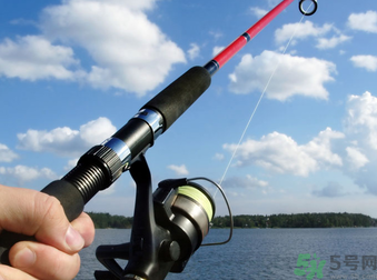 十月份釣什么魚？十月份釣魚技巧