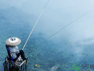 十月份釣什么魚？十月份釣魚技巧