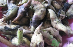 菱角殼煮水喝有什么功效?菱角殼煮水喝的方法 菱角殼煮水喝有什么功效?菱角殼煮水喝的方法