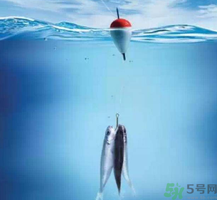 秋天釣魚深水還是淺水？秋天釣魚釣深水還是淺水？