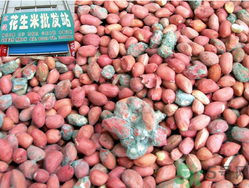 花生米發(fā)霉了還能吃嗎？花生米發(fā)霉了怎么辦？