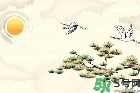 重陽節(jié)吃什么好？重陽節(jié)吃什么食物？