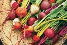 女性吃甜菜能排毒嗎？甜菜怎么吃最好？