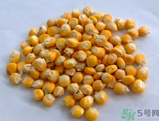 玉米用什么泡釣魚好？玉米怎么泡好釣魚？