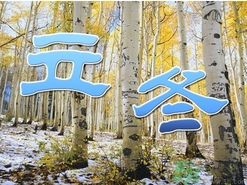 立冬可以栽樹嗎？立冬栽樹樹會死嗎？