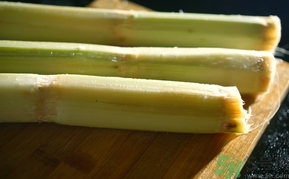 甘蔗空心能吃嗎？甘蔗空心了怎么辦？