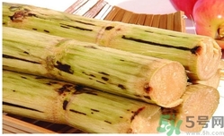 甘蔗過(guò)夜了能吃嗎？隔夜的甘蔗可以吃嗎？