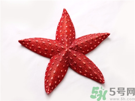 海星的營養(yǎng)價值 海星的功效與作用 海星的營養(yǎng)價值 海星的功效與作用