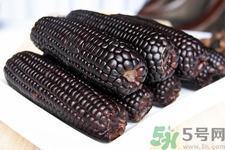 黑玉米的營養(yǎng)價(jià)值 黑玉米的功效與作用 黑玉米的營養(yǎng)價(jià)值 黑玉米的功效與作用