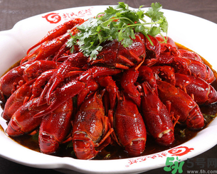 10月份還有龍蝦嗎？10月份龍蝦能吃嗎？