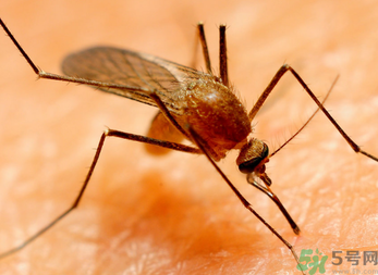 十月份還有蚊子嗎？10月份還有蚊子嗎？