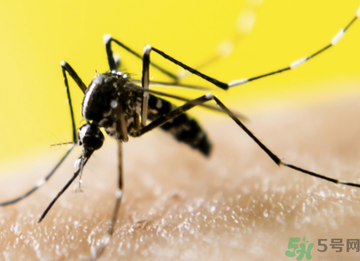 十月份還有蚊子嗎？10月份還有蚊子嗎？