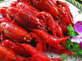 10月份還有龍蝦嗎？10月份龍蝦能吃嗎？