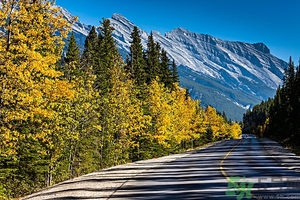 25度適合穿什么衣服?25度天氣穿什么鞋子 25度適合穿什么衣服?25度天氣穿什么鞋子