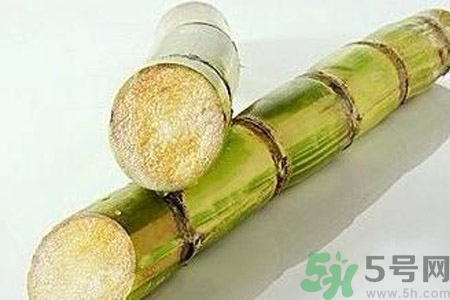 血糖高的人能吃甘蔗嗎？血糖偏高可以吃甘蔗嗎？