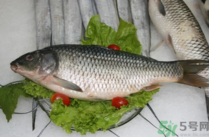 鯉魚(yú)死了怎樣保鮮？鯉魚(yú)死后怎么保存？