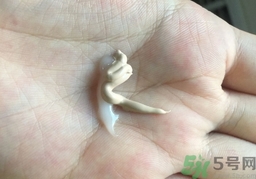 植美村7小時不脫妝bb霜多少錢?專柜價格 植美村7小時不脫妝bb霜多少錢?專柜價格