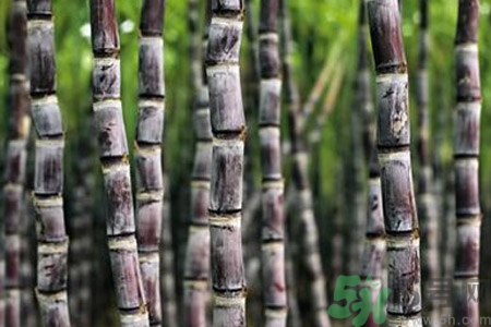 甘蔗發(fā)紅還能吃嗎？甘蔗中間發(fā)紅是怎么回事？