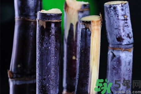 甘蔗一天吃多少最好？甘蔗能每天都吃嗎？