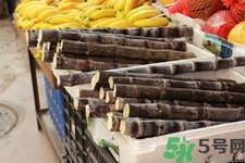 甘蔗一天吃多少最好？甘蔗能每天都吃嗎？