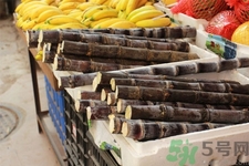 吃甘蔗嘴巴長泡怎么回事？吃甘蔗為什么會嘴巴起泡？