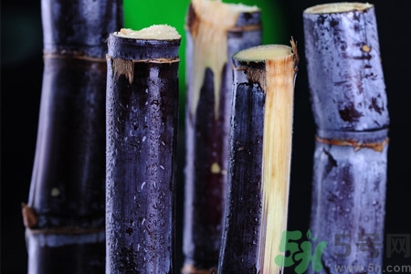 老人一天吃多少甘蔗最好？老人一天吃多少甘蔗合適？