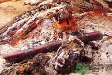 甘蔗能烤著吃嗎？甘蔗烤著吃有什么好處？