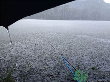 十月下雨能釣魚嗎?十月下雨天鰱魚好釣嗎? 十月下雨能釣魚嗎?十月下雨天鰱魚好釣嗎?