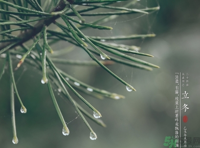 立冬可以回娘家嗎？立冬為什么不能回娘家？