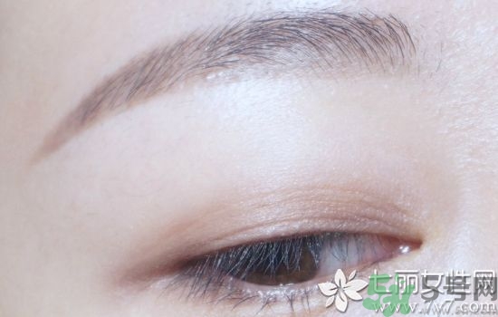 拍證件照穿什么顏色衣服好看 證件照怎么拍才好看 拍證件照穿什么顏色衣服好看 證件照怎么拍才好看