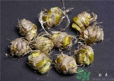 紫皮石斛的食用方法 紫皮石斛的功效與作用 紫皮石斛的食用方法 紫皮石斛的功效與作用