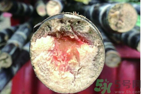 發(fā)霉的甘蔗吃了會中毒嗎？發(fā)霉的甘蔗長什么樣子？