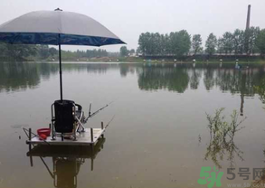 水庫釣魚用什么餌料？水庫釣魚用什么商品餌？