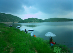 陰天好釣魚(yú)嗎？陰天釣魚(yú)好釣嗎？