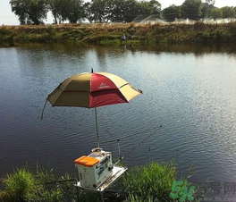 陰天好釣魚(yú)嗎？陰天釣魚(yú)好釣嗎？
