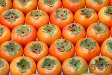 大閘蟹和柿子為什么不能一起吃？柿子和螃蟹隔多久可以吃？