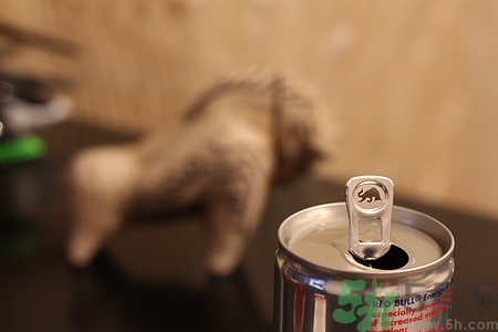 紅?？梢远嗪葐?紅牛喝多了有什么壞處