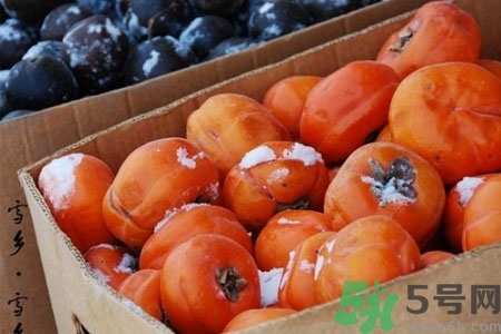 凍柿子澀口怎么辦？凍柿子怎么快速脫澀？